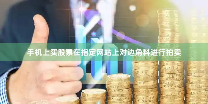 手机上买股票在指定网站上对边角料进行拍卖
