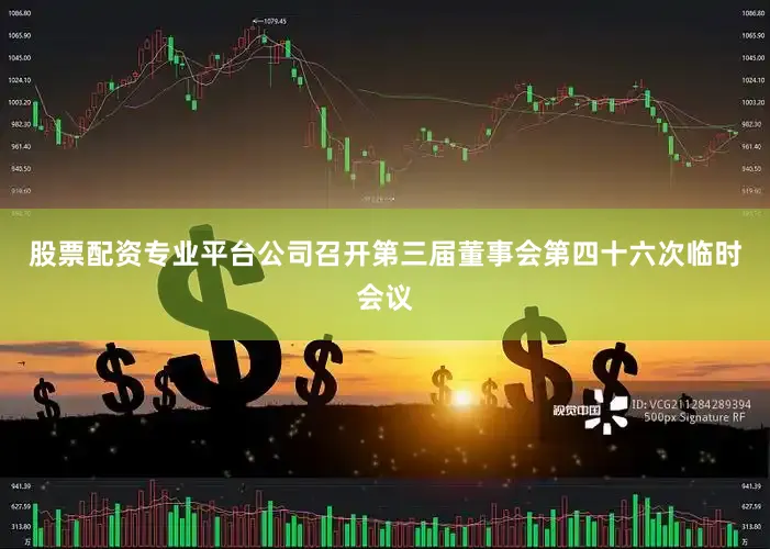 股票配资专业平台公司召开第三届董事会第四十六次临时会议
